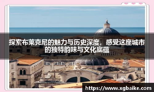探索布莱克尼的魅力与历史深度，感受这座城市的独特韵味与文化底蕴